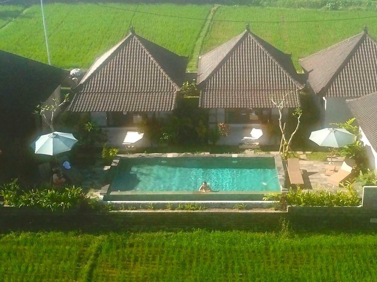 Paraiso Cottage Ubud Bagian luar foto